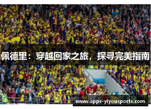 佩德里：穿越回家之旅，探寻完美指南