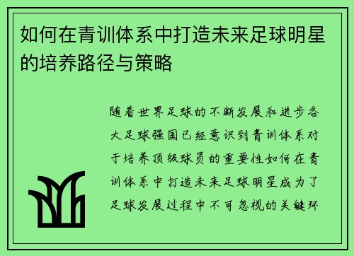 如何在青训体系中打造未来足球明星的培养路径与策略