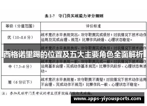 西格诺里踢的位置及五大主要角色全面解析